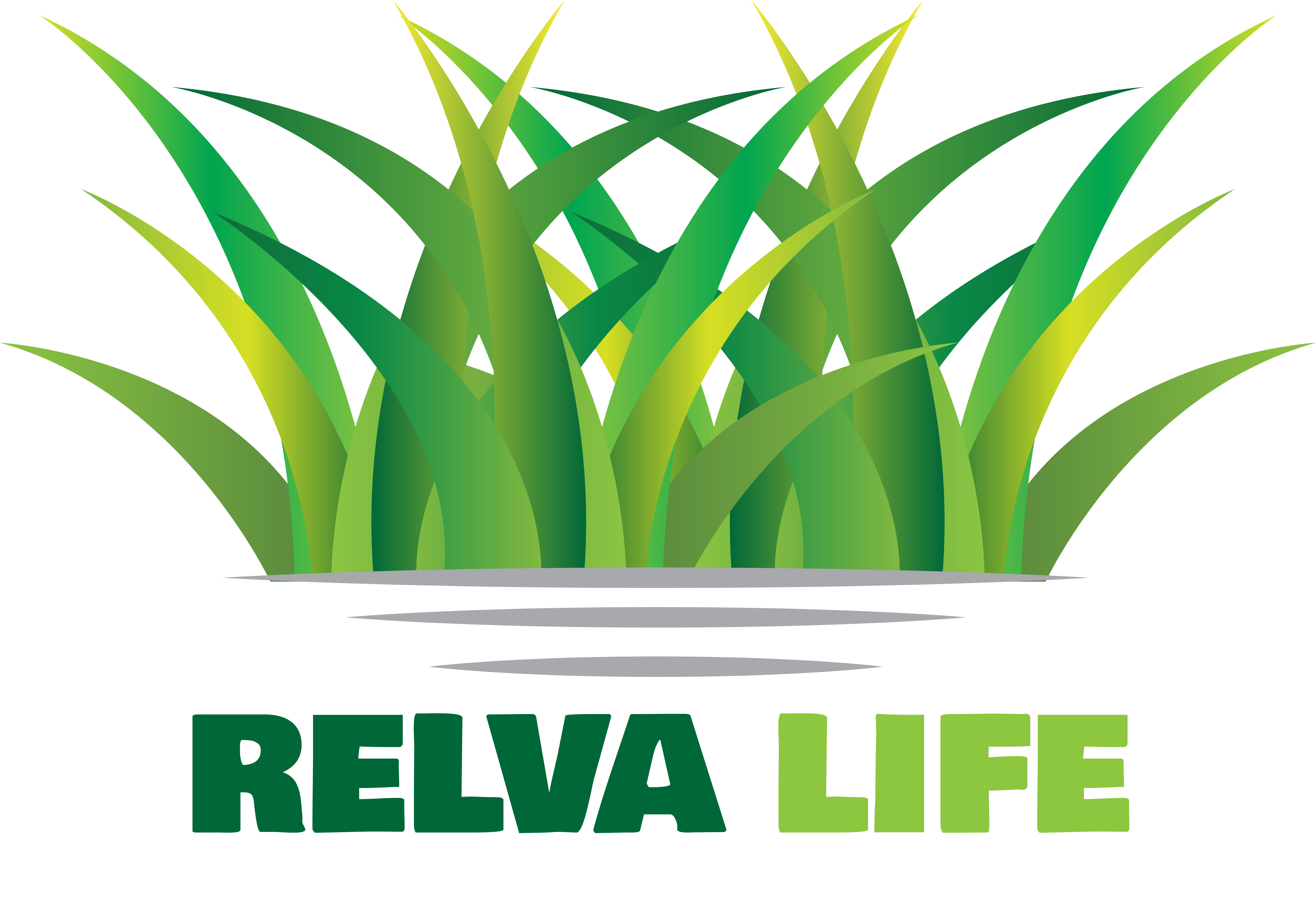 Relva Life: Growing and Maintaining Bermuda Grass